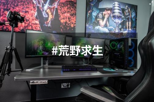 #荒野求生-第1张-游戏资讯-龙启网络