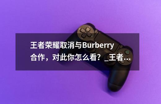 王者荣耀取消与Burberry合作,对此你怎么看?_王者荣耀巴宝莉事件是怎么回事-第1张-游戏资讯-龙启网络