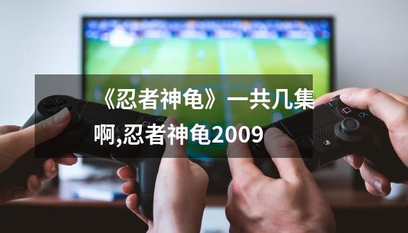 《忍者神龟》一共几集啊,忍者神龟2009-第1张-游戏资讯-龙启网络