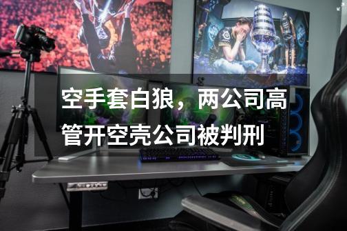 空手套白狼,两公司高管开空壳公司被判刑-第1张-游戏资讯-龙启网络