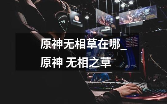 原神无相草在哪_原神 无相之草-第1张-游戏资讯-龙启网络