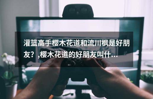 灌篮高手樱木花道和流川枫是好朋友？,樱木花道的好朋友叫什么-第1张-游戏资讯-龙启网络
