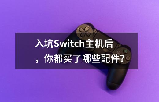 入坑Switch主机后,你都买了哪些配件?-第1张-游戏资讯-龙启网络