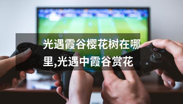 光遇霞谷樱花树在哪里,光遇中霞谷赏花-第1张-游戏资讯-龙启网络