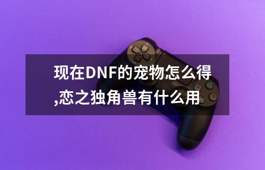 现在DNF的宠物怎么得,恋之独角兽有什么用-第1张-游戏资讯-龙启网络