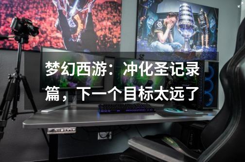 梦幻西游:冲化圣记录篇,下一个目标太远了-第1张-游戏资讯-龙启网络