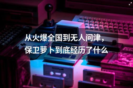 从火爆全国到无人问津,保卫萝卜到底经历了什么-第1张-游戏资讯-龙启网络