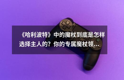 《哈利波特》中的魔杖到底是怎样选择主人的?你的专属魔杖领了吗-第1张-游戏资讯-龙启网络