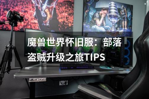 魔兽世界怀旧服:部落盗贼升级之旅TIPS-第1张-游戏资讯-龙启网络