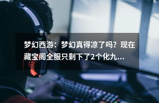 梦幻西游:梦幻真得凉了吗?现在藏宝阁全服只剩下了2个化九角色-第1张-游戏资讯-龙启网络