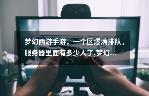 梦幻西游手游,一个区爆满排队,服务器里面有多少人了?,梦幻西游手游服务器人口查询-第1张-游戏资讯-龙启网络