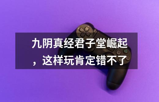 九阴真经君子堂崛起,这样玩肯定错不了-第1张-游戏资讯-龙启网络