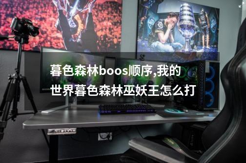 暮色森林boos顺序,我的世界暮色森林巫妖王怎么打-第1张-游戏资讯-龙启网络