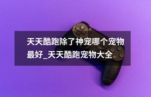 天天酷跑除了神宠哪个宠物最好_天天酷跑宠物大全-第1张-游戏资讯-龙启网络