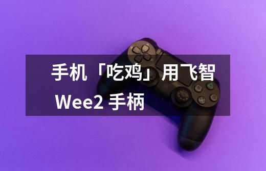 手机「吃鸡」用飞智 Wee2 手柄-第1张-游戏资讯-龙启网络