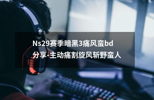 Ns29赛季暗黑3痛风蛮bd分享-主动痛割旋风斩野蛮人...-第1张-游戏资讯-龙启网络
