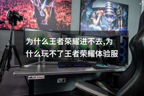 为什么王者荣耀进不去,为什么玩不了王者荣耀体验服-第1张-游戏资讯-龙启网络