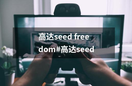 高达seed freedom#高达seed-第1张-游戏资讯-龙启网络