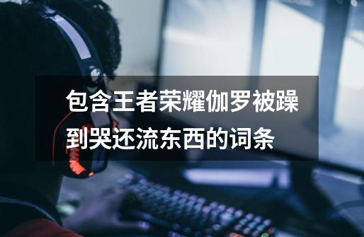 包含王者荣耀伽罗被躁到哭还流东西的词条-第1张-游戏资讯-龙启网络