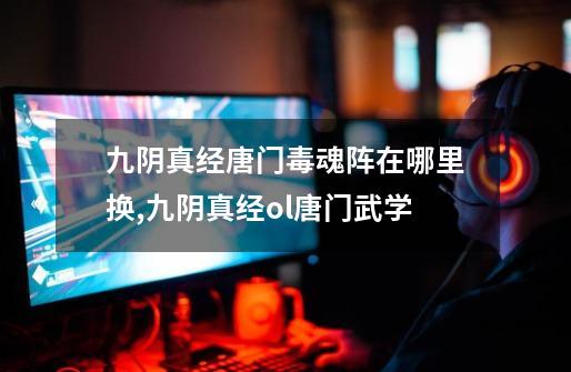 九阴真经唐门毒魂阵在哪里换,九阴真经ol唐门武学-第1张-游戏资讯-龙启网络
