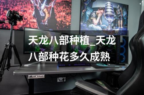 天龙八部种植_天龙八部种花多久成熟-第1张-游戏资讯-龙启网络
