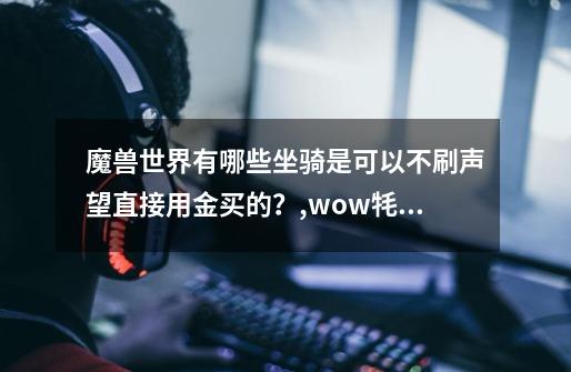 魔兽世界有哪些坐骑是可以不刷声望直接用金买的?,wow牦牛在哪里买-第1张-游戏资讯-龙启网络