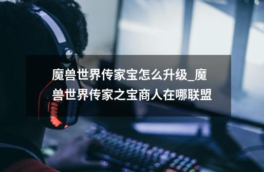 魔兽世界传家宝怎么升级_魔兽世界传家之宝商人在哪联盟-第1张-游戏资讯-龙启网络