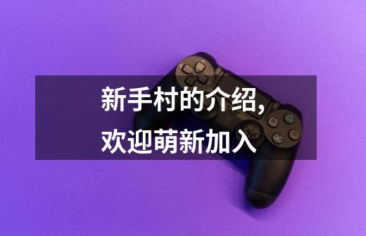 新手村的介绍,欢迎萌新加入-第1张-游戏资讯-龙启网络