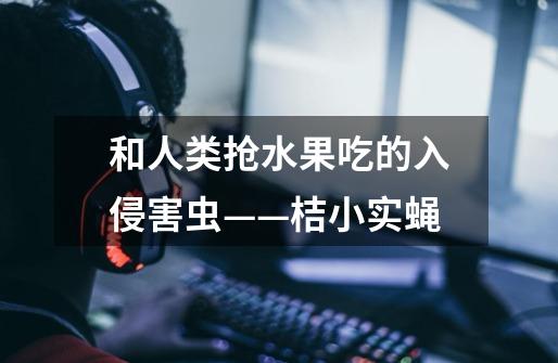 和人类抢水果吃的入侵害虫——桔小实蝇-第1张-游戏资讯-龙启网络
