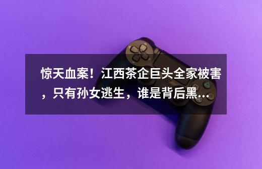 惊天血案!江西茶企巨头全家被害,只有孙女逃生,谁是背后黑手?-第1张-游戏资讯-龙启网络