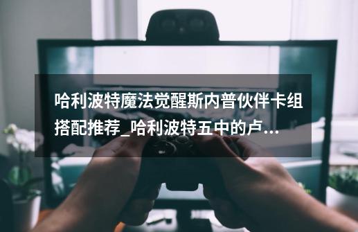 哈利波特魔法觉醒斯内普伙伴卡组搭配推荐_哈利波特五中的卢娜-第1张-游戏资讯-龙启网络