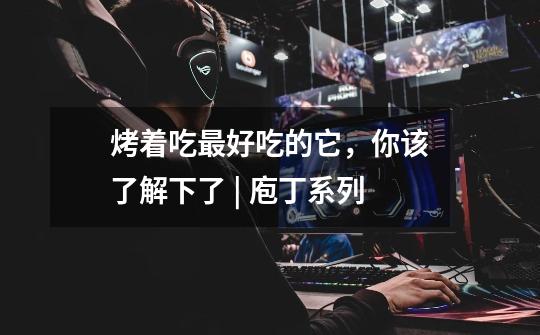 烤着吃最好吃的它,你该了解下了 | 庖丁系列-第1张-游戏资讯-龙启网络
