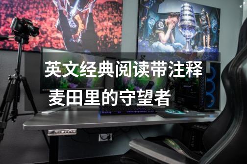 英文经典阅读带注释 麦田里的守望者-第1张-游戏资讯-龙启网络