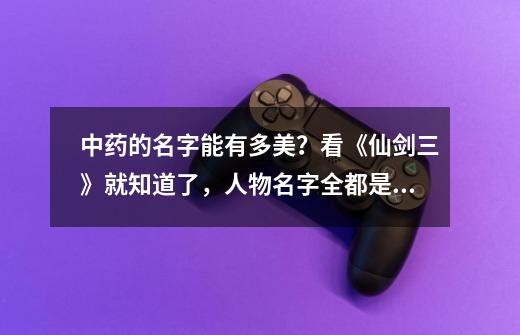 中药的名字能有多美?看《仙剑三》就知道了,人物名字全都是中药-第1张-游戏资讯-龙启网络