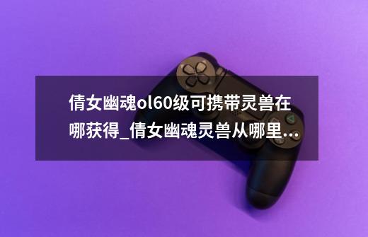 倩女幽魂ol60级可携带灵兽在哪获得_倩女幽魂灵兽从哪里抓-第1张-游戏资讯-龙启网络