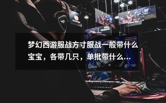 梦幻西游服战方寸服战一般带什么宝宝,各带几只,单批带什么宠_梦幻西游文墨带什么宝宝-第1张-游戏资讯-龙启网络