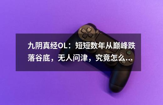 九阴真经OL:短短数年从巅峰跌落谷底,无人问津,究竟怎么了?-第1张-游戏资讯-龙启网络