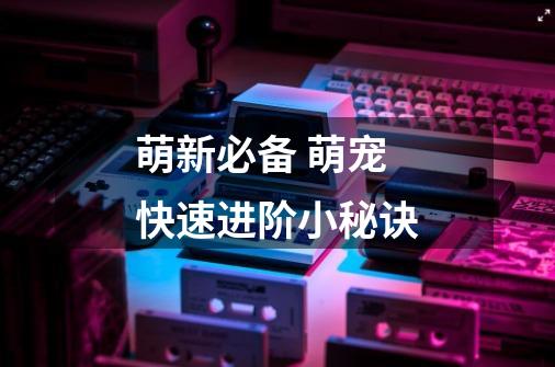 萌新必备 萌宠快速进阶小秘诀-第1张-游戏资讯-龙启网络