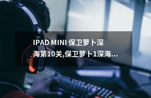IPAD MINI 保卫萝卜深海第10关,保卫萝卜1深海攻略第10关-第1张-游戏资讯-龙启网络