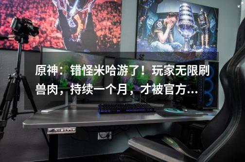 原神:错怪米哈游了!玩家无限刷兽肉,持续一个月,才被官方修复-第1张-游戏资讯-龙启网络