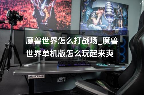 魔兽世界怎么打战场_魔兽世界单机版怎么玩起来爽-第1张-游戏资讯-龙启网络