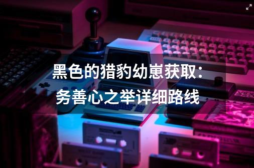 黑色的猎豹幼崽获取: 务善心之举详细路线-第1张-游戏资讯-龙启网络