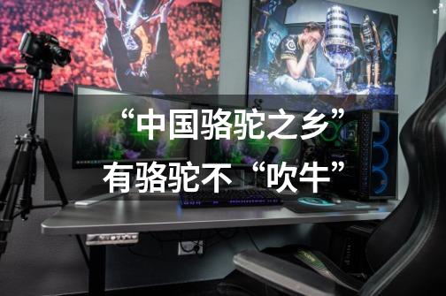 “中国骆驼之乡”有骆驼不“吹牛”-第1张-游戏资讯-龙启网络