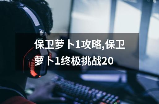 保卫萝卜1攻略,保卫萝卜1终极挑战20-第1张-游戏资讯-龙启网络