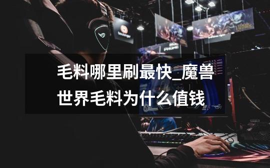 毛料哪里刷最快_魔兽世界毛料为什么值钱-第1张-游戏资讯-龙启网络