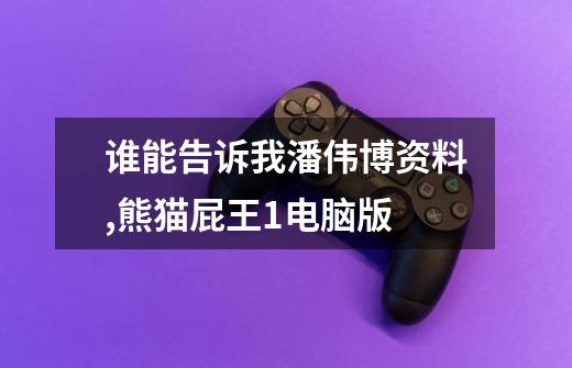 谁能告诉我潘伟博资料,熊猫屁王1电脑版-第1张-游戏资讯-龙启网络