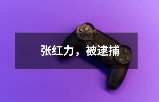 张红力,被逮捕-第1张-游戏资讯-龙启网络