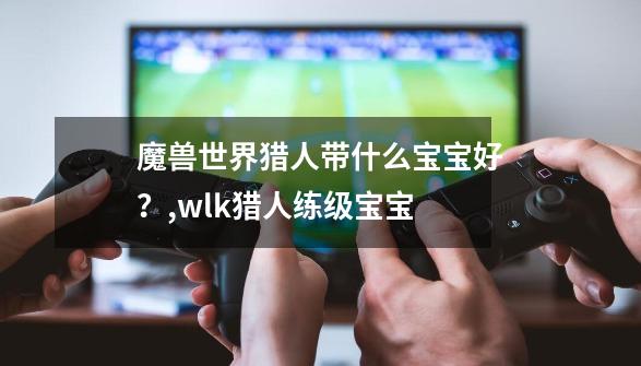 魔兽世界猎人带什么宝宝好?,wlk猎人练级宝宝-第1张-游戏资讯-龙启网络