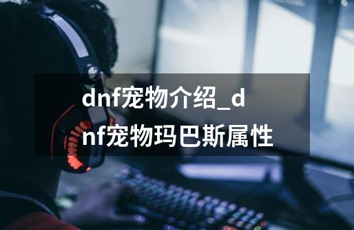 dnf宠物介绍_dnf宠物玛巴斯属性-第1张-游戏资讯-龙启网络