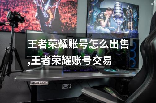 王者荣耀账号怎么出售,王者荣耀账号交易-第1张-游戏资讯-龙启网络